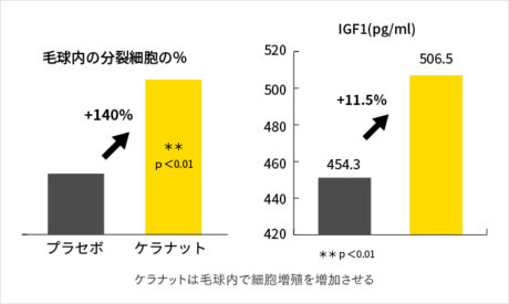 ケラナットの成分
