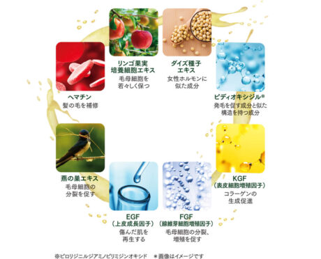 成分